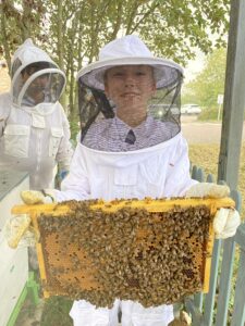Webber Student holding honey comb covered with bees from the Beehive