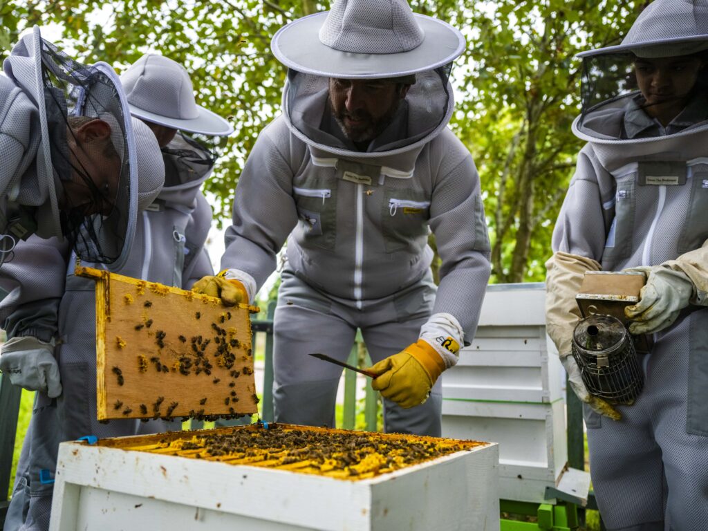 Bee club students looking at the Hives