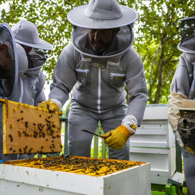 Bee club students looking at the Hives